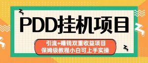 拼多多挂机项目 引流+赚钱双重收益项目(保姆级教程小白可上手实操)-知芽创业社