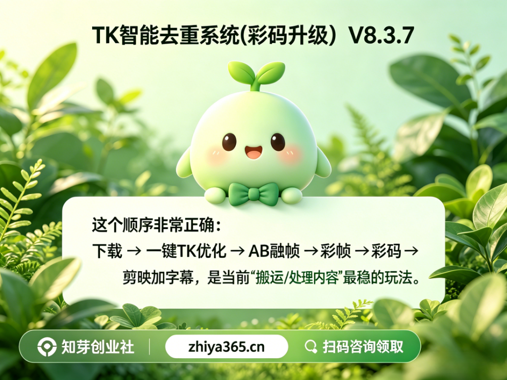 彩码