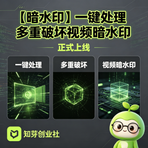【暗水印】一键处理多重破坏视频暗水印 正式上线-知芽创业社