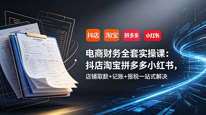 电商财务全套实操课:抖店淘宝拼多多小红书,店铺取数+记账+报税一站式解决-知芽创业社