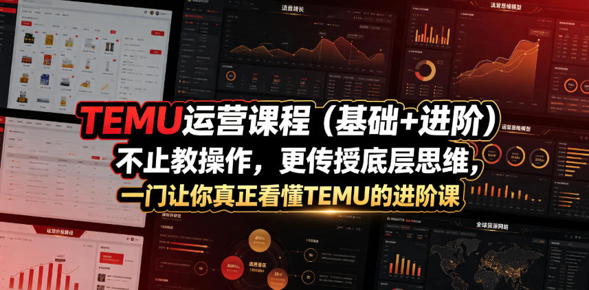 TEMU运营课程(基础+进阶),不止教操作,更传授底层思维,一门让你真正看懂TEMU的进阶课-知芽创业社