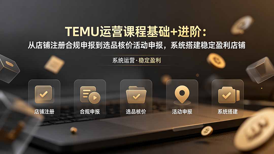 TEMU运营课程(基础+进阶-知芽创业社