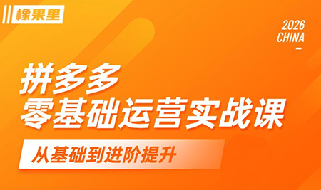 仙道电商·拼多多零基础运营实战课-知芽创业社