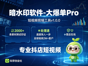 暗水印软件-大爆单Pro·短视频剪辑工具v1.0处理速度比市面上快很多-知芽创业社