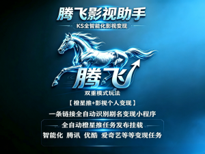 【腾飞影视助手】ks影视项目介绍影视橙星推全自动自动挂载小程序-知芽创业社
