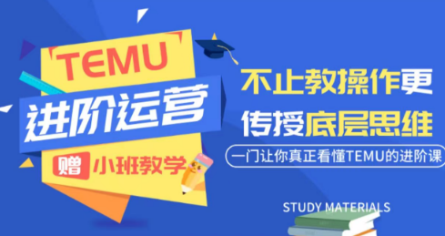 阿卡林·TEMU运营课程(基础+进阶)-知芽创业社