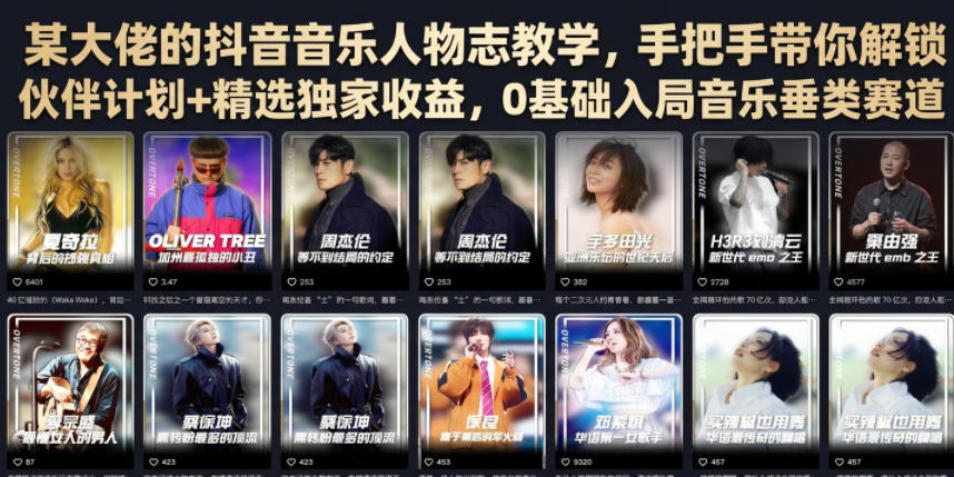 某大佬的抖音音乐人物志教学,手把手带你解锁伙伴计划+精选独家收益,0基础入局音乐垂类赛道-知芽创业社