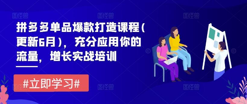 拼多多单品爆款打造课程(更新6月)，充分应用你的流量，增长实战培训-知芽创业社