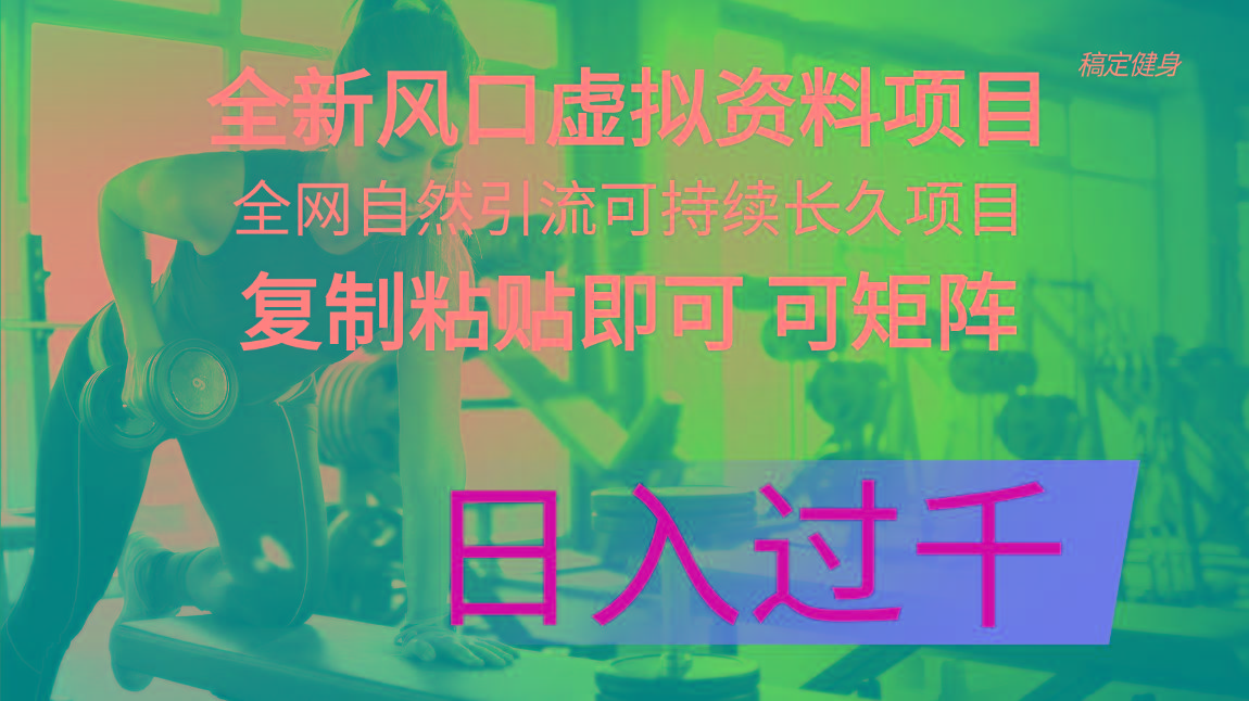 全新风口虚拟资料项目 全网自然引流可持续长久项目 复制粘贴即可可矩阵…-知芽创业社