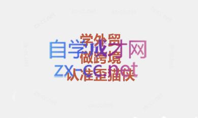 琼姐·团队复制+询盘转化+展会实操-知芽创业社