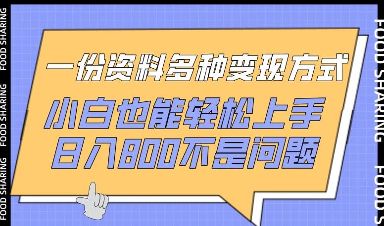 一份资料多种变现方式，小白也能轻松上手，日入800不是问题【揭秘】-知芽创业社