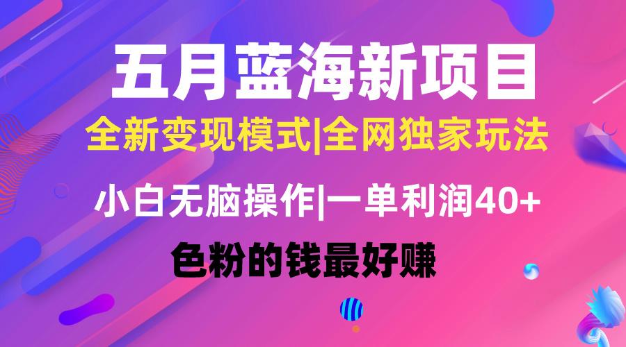 五月蓝海项目全新玩法，小白无脑操作，一天几分钟，矩阵操作，月入4万+-知芽创业社