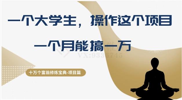 十万个富翁修炼宝典之4.一个大学生操作这个项目，一个月能搞一万-知芽创业社