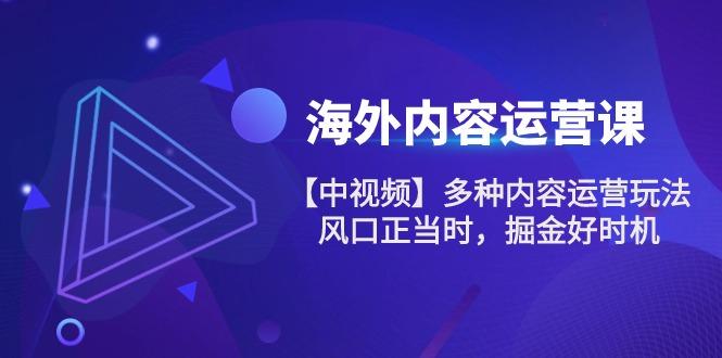 海外内容 运营课【中视频】多种内容运营玩法 风口正当时 掘金好时机-101节-知芽创业社