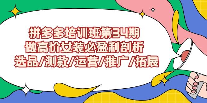 (9333期)拼多多培训班第34期：做高价女装必盈利剖析  选品/测款/运营/推广/拓展-知芽创业社