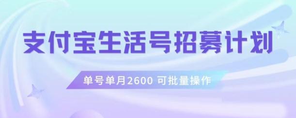 支付宝生活号作者招募计划，单号单月2600，可批量去做，工作室一人一个月轻松1w+【揭秘】-知芽创业社