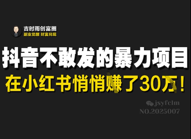 抖音不敢发的暴利项目，在小红书悄悄挣了30W-知芽创业社