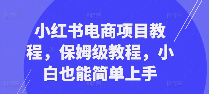 小红书电商项目教程，保姆级教程，小白也能简单上手-知芽创业社