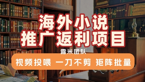 海外小说推广返利项目，视频投喂， 一刀不剪，矩阵批量-知芽创业社