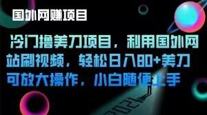 冷门撸美刀项目，利用国外网站刷视频，轻松日入80+美刀，可放大操作，小白随便上手-知芽创业社