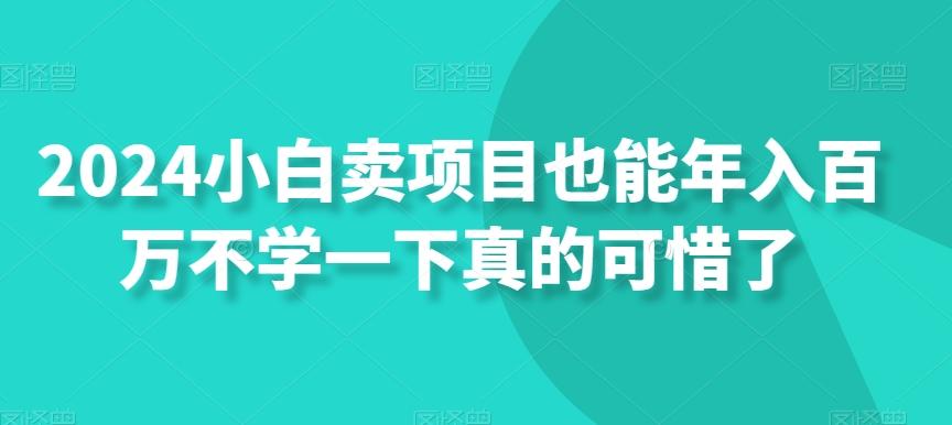 2024小白卖项目也能年入百万不学一下真的可惜了-知芽创业社