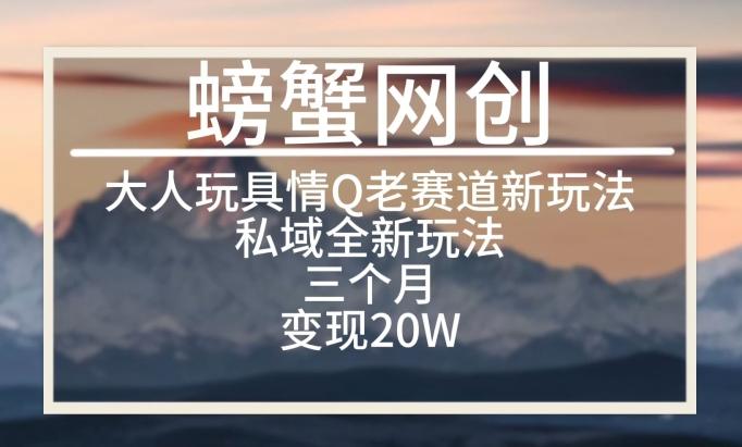 大人玩具情Q用品赛道私域全新玩法，三个月变现20W，老项目新思路【揭秘】-知芽创业社