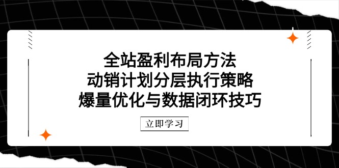 全站盈利布局方法：动销计划分层执行策略，爆量优化与数据闭环技巧-知芽创业社