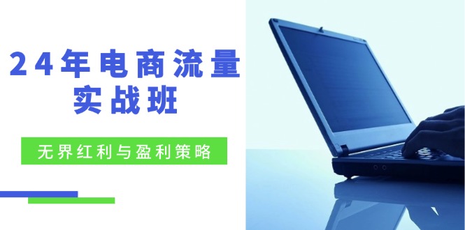 24年电商流量实战班：无界 红利与盈利策略，终极提升/关键词优化/精准…-知芽创业社