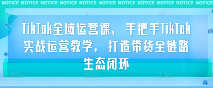TikTok全域运营课，手把手TikTok实战运营教学，打造带货全链路生态闭环-知芽创业社