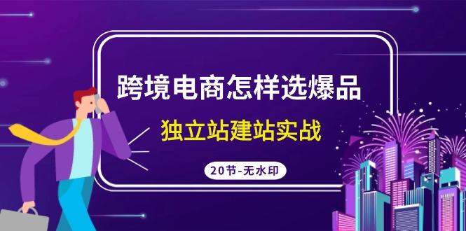 (9369期)跨境电商怎样选爆品，独立站建站实战(20节高清无水印课)-知芽创业社