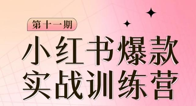 小红书博主爆款训练营第11期，手把手教你从0-1做小红书，从定位到起号到变现-知芽创业社