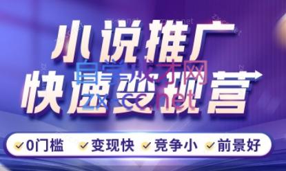 洲洲老师·小说推广快速变现营-知芽创业社
