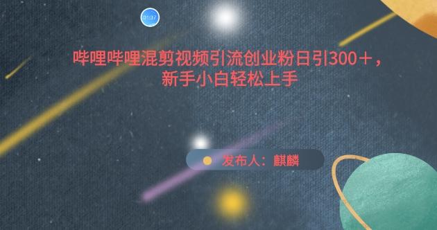 哔哩哔哩混剪视频引流创业粉日引300+，新手小白轻松上手【揭秘】-知芽创业社