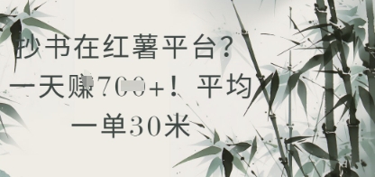抄书在小红薯平台？平均一单30米，一天收益几张！-知芽创业社