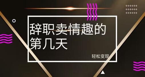 冷门赛道，辞职卖情趣的第几天，超暴力项目-知芽创业社