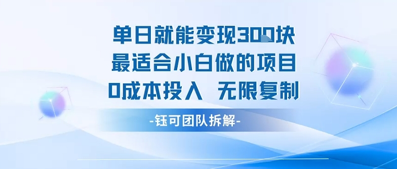 单日就能变现3张最适合小白做的项目0成本投入 无限复制-知芽创业社