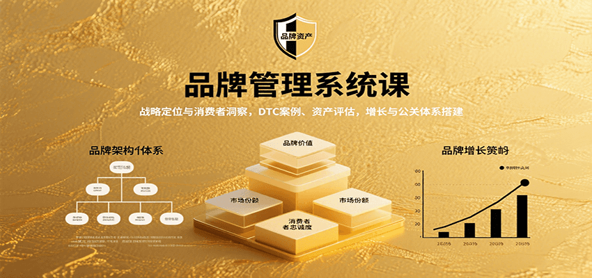 品牌管理系统课：战略定位与消费者洞察，DTC案例、资产评估，增长与公关体系搭建-知芽创业社