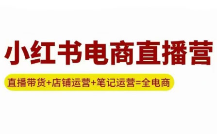 申铭老师·小红书电商直播营(更新)-知芽创业社