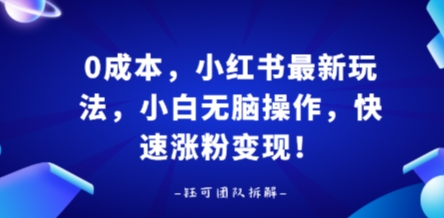 0成本，小红书最新玩法，小白无脑操作，快速涨粉变现-知芽创业社