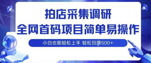 拍店采集调研，全网首码项目，简单易操作， 小白也能轻松上手，多账号操作，轻松日入5张【揭秘】-知芽创业社