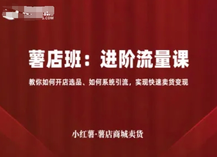 小红薯薯店商城卖货，进阶流量课，教你如何开店选品、如何系统引流，实现快速卖货变现-知芽创业社
