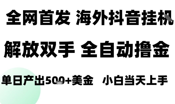 海外抖音无人直播，单日产出1.5k+，长期稳定，新手可玩，无脑操作【揭秘】-知芽创业社