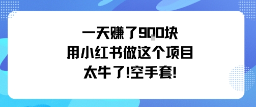 一天挣了9张用小红书做这个项目太牛了，空手套-知芽创业社
