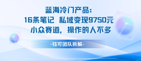 蓝海项目：16条笔记私域变现9750米小众赛道操作的人不多-知芽创业社