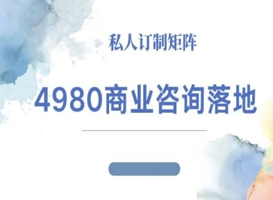 4980商业咨询师落地课程-ip运营高客单教程-知芽创业社