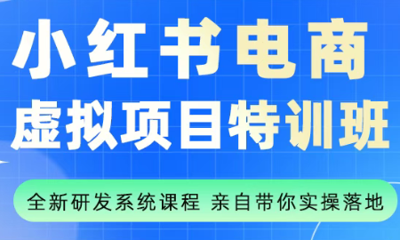 陆明明·小红书虚拟项目特训班(更新9月)-知芽创业社