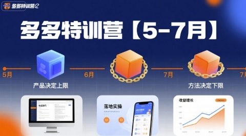 多多特训营，产品决定上限，方法决定下限，各种玩法技巧落地实操(更新)-知芽创业社