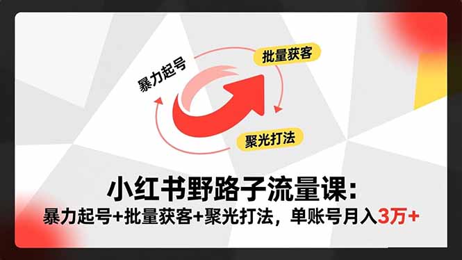 小红书野路子流量课：暴力起号+批量获客+聚光打法，单账号月入3万+-知芽创业社