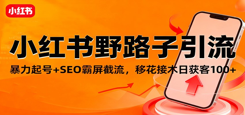 小红书野路子引流，暴力起号+SEO霸屏截流，移花接木日获客100+-知芽创业社