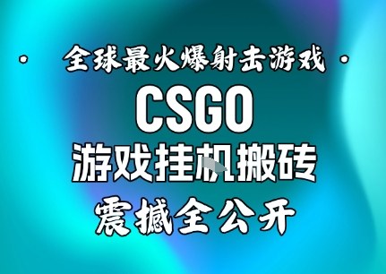 【年底大揭秘】基于全球最火爆的射击CSGO游戏挂G搬砖，日入5张+，震撼公开-知芽创业社